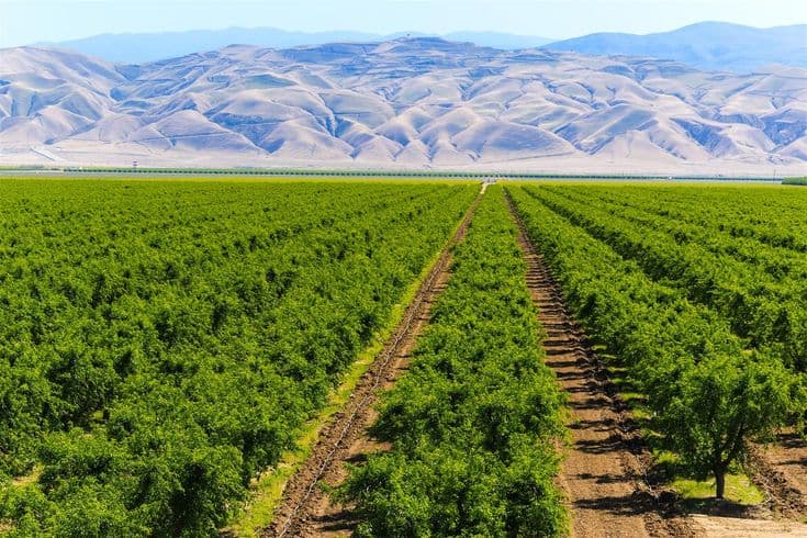 Primex Farms Clean Sustainability Hero