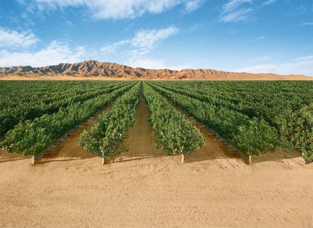 Sustainable Irrigation
